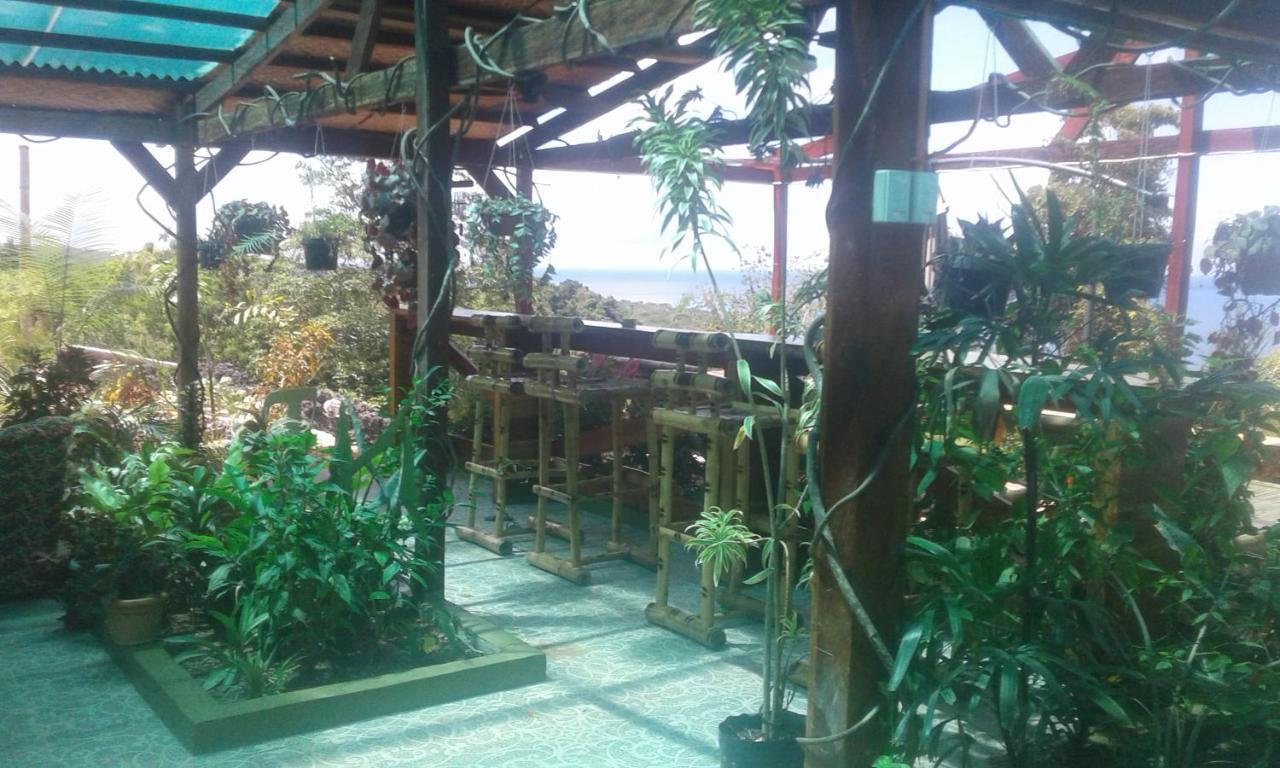 Jungle Of Peace Resort Siquijor Exterior foto