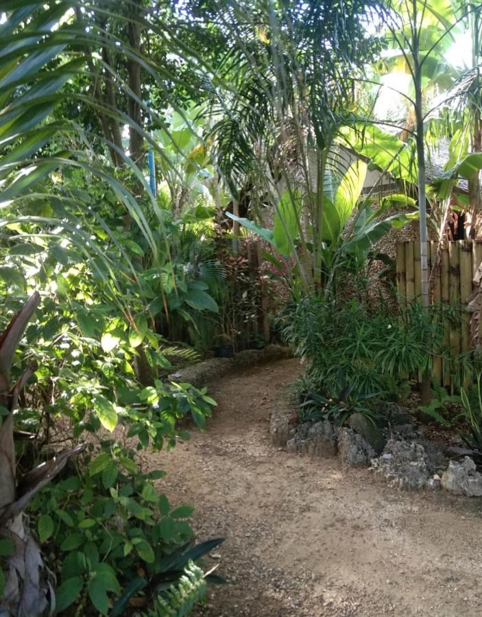 Jungle Of Peace Resort Siquijor Exterior foto