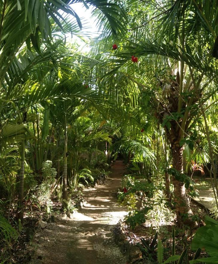 Jungle Of Peace Resort Siquijor Exterior foto